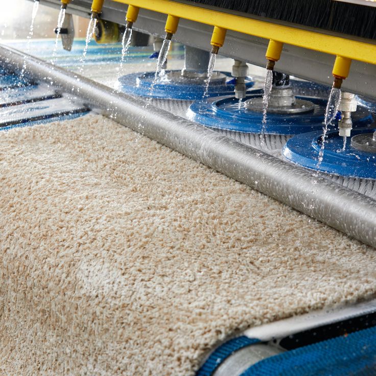 Comment Entretenir un Tapis au Quotidien · Guide Colblanc